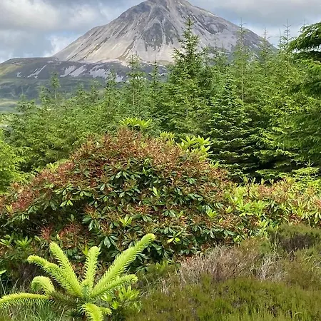 The Birdhouse With Hot Tub Prázdninový dům Gortahork