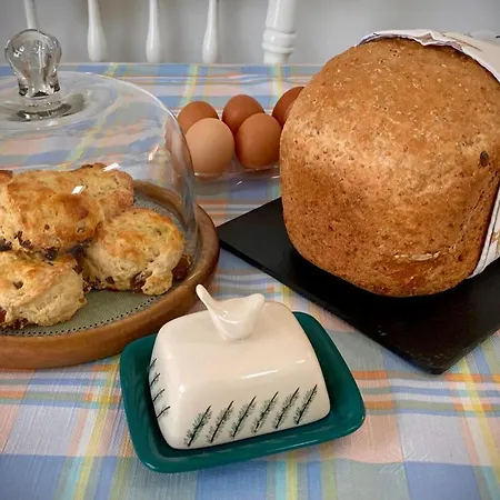 Dom wakacyjny The Birdhouse With Hot Tub Gortahork