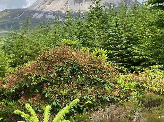 The Birdhouse With Hot Tub Ferienhaus Gortahork